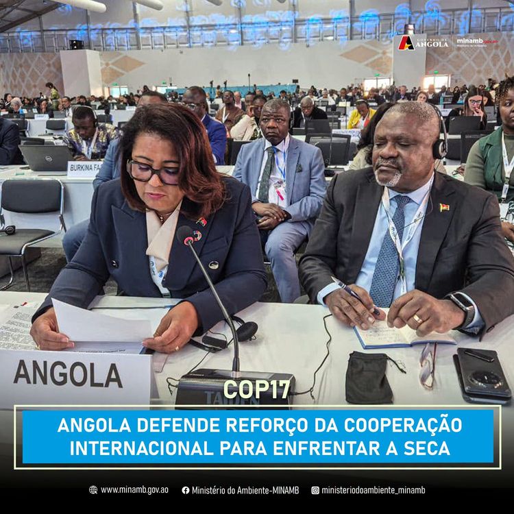 Notícia