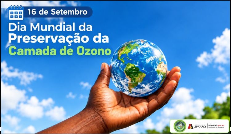 Notícia