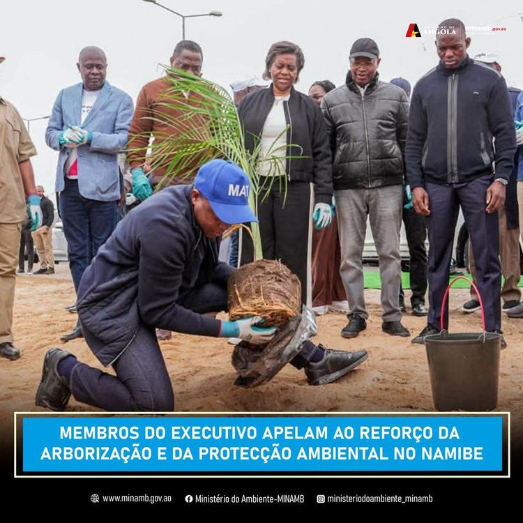 Notícia